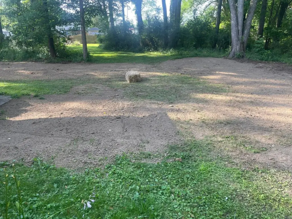 lot and land clearing