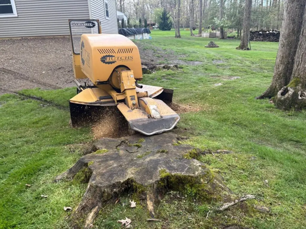 stump grinding